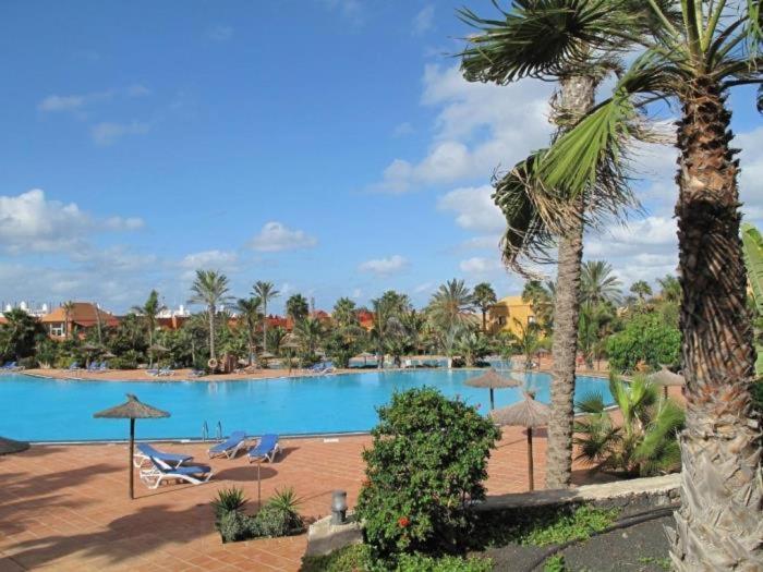 Kitesurf Lobos Lasia By Holidays Fuerteventura * Corralejo